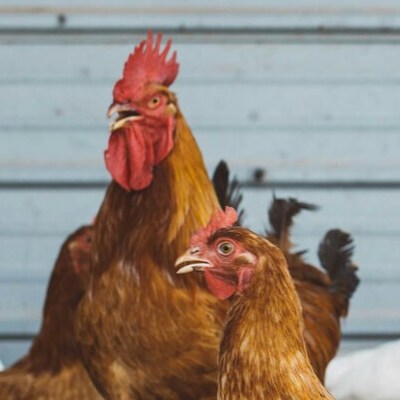 brooke cagle eenuxvvltms unsplash (2) (1)